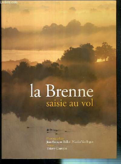 LA BRENNE SAISIE AU VOL