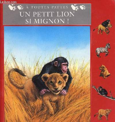 UN PETIT LION SI MIGNON - A TOUTES PATTES