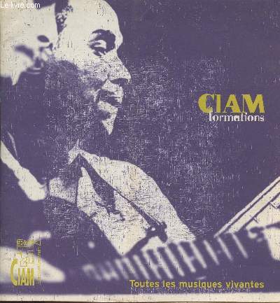 Programme du CIAM : Formations, Toutes les musiques vivantes
