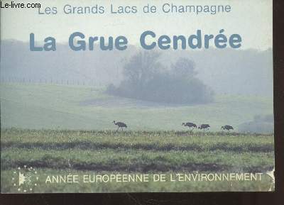 Les Grands Lacs de Champagne : La Grue Cendre - Anne Europenne de l'Environnement