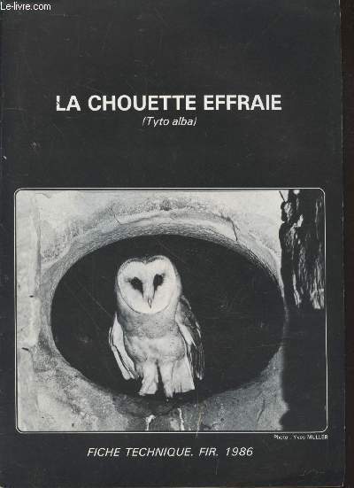 La Chouette Effraie (Tyto Alba)