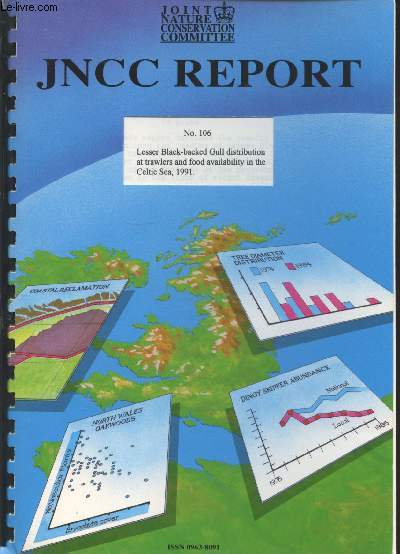 JNCC Report n106 : Lesser Black-backed Gull distribution at trawlers and food availability in the Celtic Sea, 1991