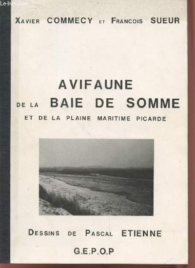 Avifaune de la Baie de Somme et de la plaine maritime picarde.