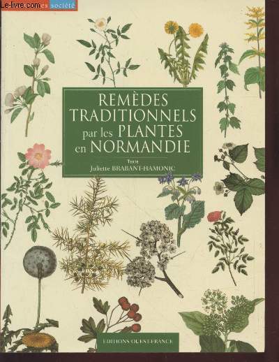 Remdes traditionnels par les plantes en Normandie (Collection : 