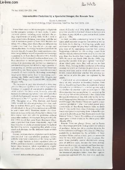Tir  part : The Auk Vol.115 n2 : Size-selective Predation by a Specialist forager, the Roseate Tern.