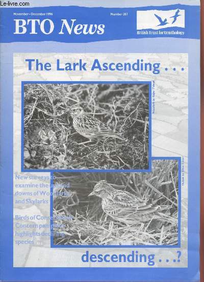 BTO News n207 November-December 1996 : The Lark Ascending...descending ? Sommaire : Nesting 1995 - Woodlark Survey - Projetc Barn Owl - Birds of conservation Concern - Breeding Skylark Survey - Sawbill Survey...