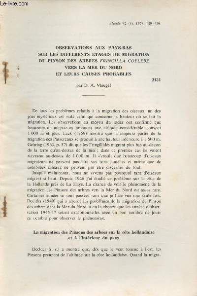Tir  part : Alauda Vol.42 n4 (1974): Observations aux Pays-Bas sur les diffrents tages de migration du pinson des arbres Fringilla coelebs vers la Mer du Nord et leurs causes probables