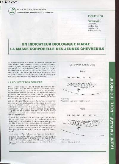 Faune Sauvage Note Technique : Bulletin Mensuel n209 - Fiche n91 : Un indicateur biologique fiable : la masse corporelle des jeunes chevreuils.