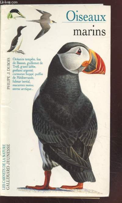 Oiseaux marins (Collection : 
