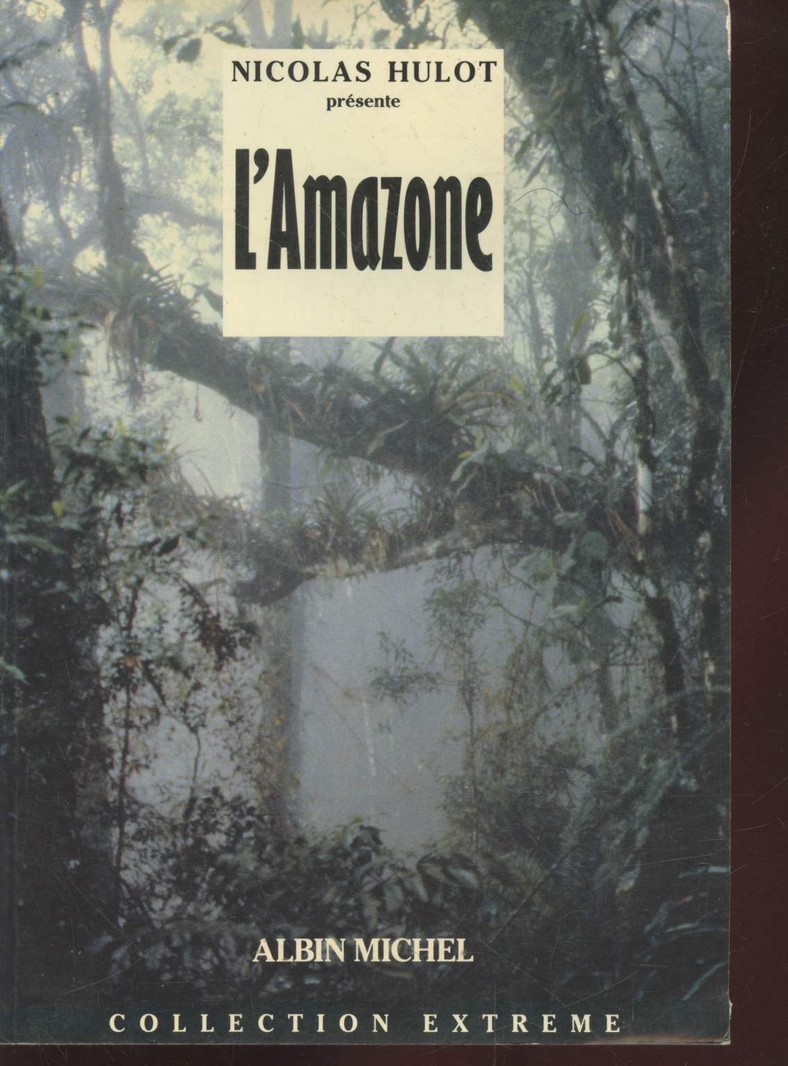 L'Amazone (Collection : 