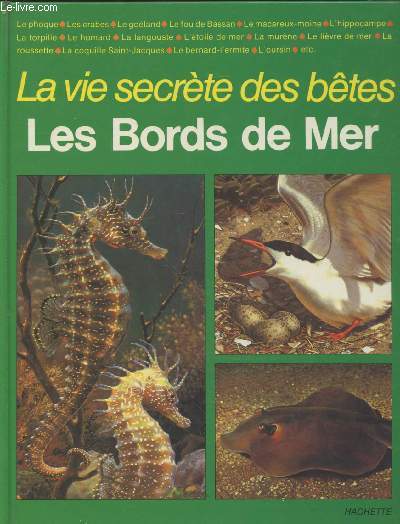 Les bords de mer : Le phoque - Les crabes - Le goland - Le fou de Bassan - Le macareux-moine - L'hippocampe - La torpille - etc. (Collection : 