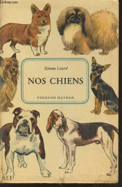 Nos chiens