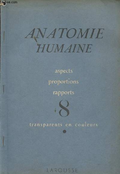 Anatomie humaine : Aspects - Porportions - Rapports - 8 transparents en couleurs