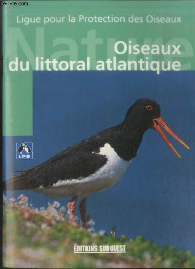 Oiseaux du littoran Atlantique