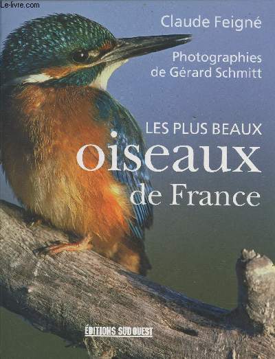 Les plus beaux oiseaux de France