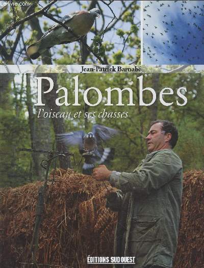 Palombes : L'oiseau et ses chasses