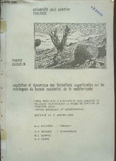 Vgtation et dynamique des formations superficielles sur les montagnes du bassin occidental de la mditerrane.