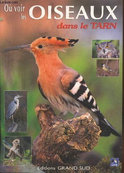 O voir les oiseaux dans le Tarn