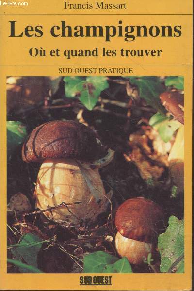 Les champignons : O et quand les trouver