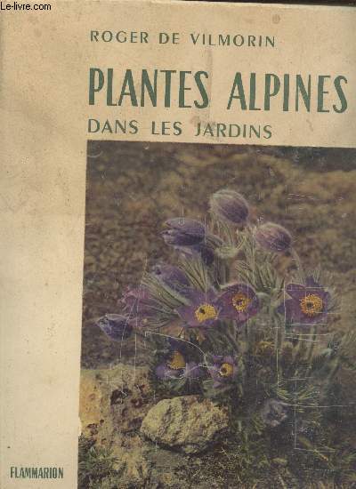 Plantes alpines dans les jardins