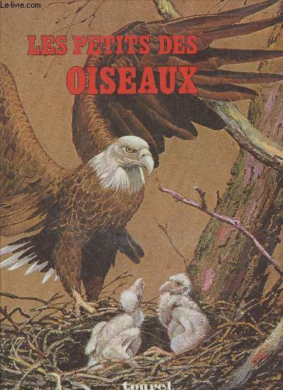 Les petits des oiseaux