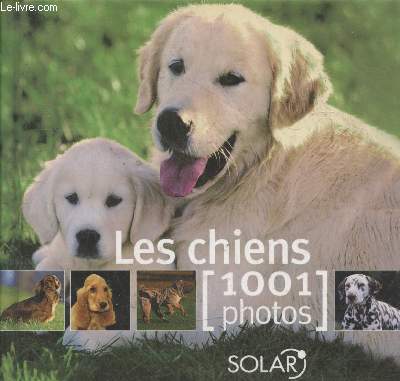 Les Chiens - 1001 photos