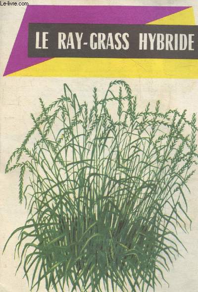 Le Ray-Grass hybride