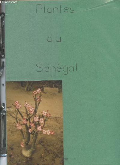 Plantes du Sngal : Araces - Bignoniaces - Bombacaces - Csalpiniaces - Combrtaces - Mimosaces - Palmes - Pontdriaces - etc.