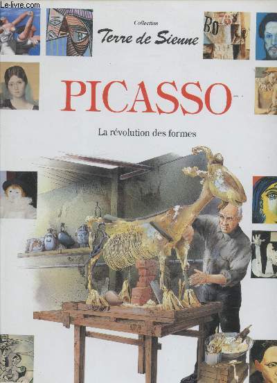 Picasso : La rvolution des formes. (Collection 