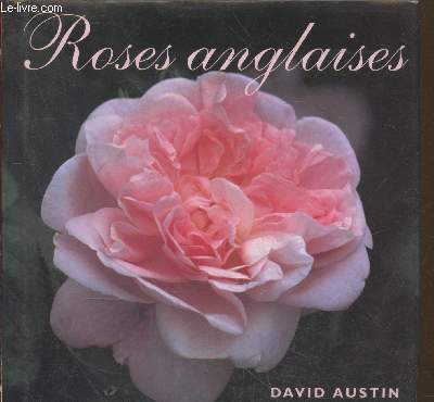 Roses anglaises