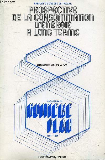Prospective de la consommation d'nergie  long terme - fvrier 1981.