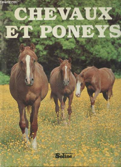 Chevaux et poneys