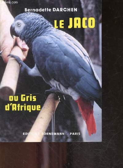 Le jaco ou gris d'Afrique