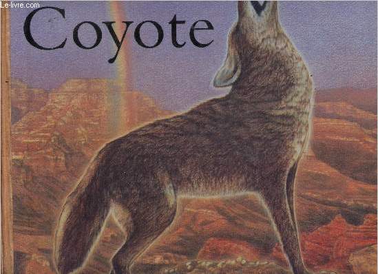 Coyote