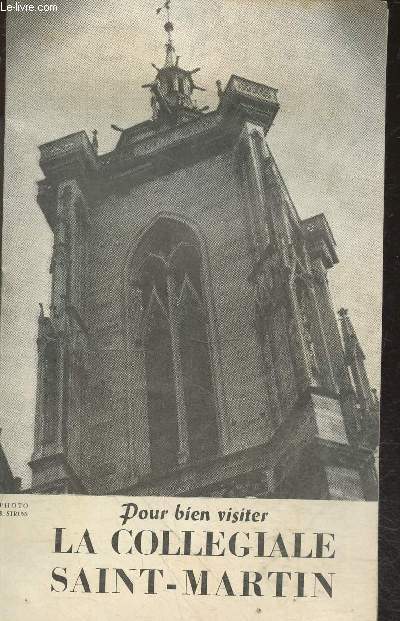 Pour bien visiter La collegiale saint martin - quelques notions d'hsitoire, le tour de l'eglise, le portail sud, les vitraux, l'interieur, la vierge au buisson de roses