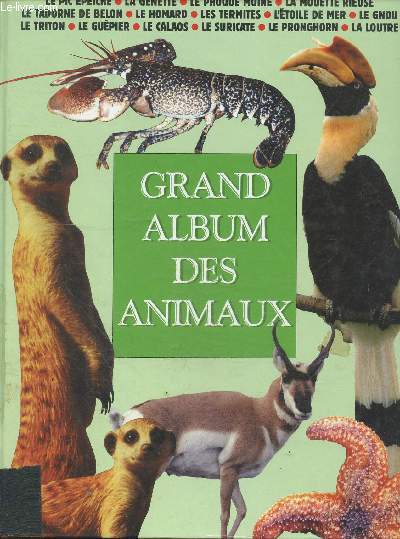 Grand Album Des Animaux - 15 numros relis en 1 volume : le pic epeiche, genette, phoque moine, mouette rieuse, tadorne de belon, homard, termites, etoile de mer, gnou, triton alpestre, guepier, calaos, suricate, pronghorn, loutre