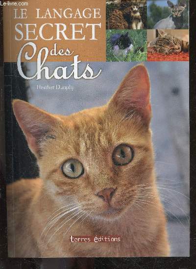 Le langage secret des chats