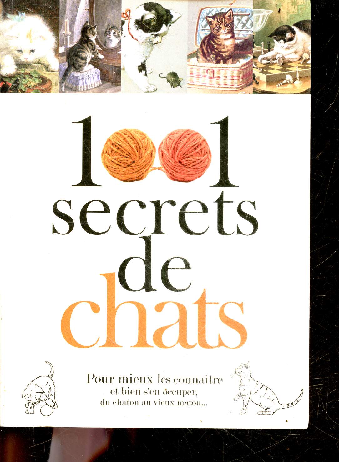 1001 Secrets De Chats - pour mieux les connaitre et bien s'en occuper, du chaton au vieux matou ...