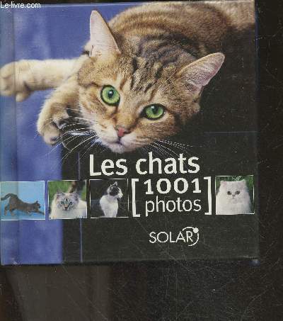 Les chats - 1001 photos