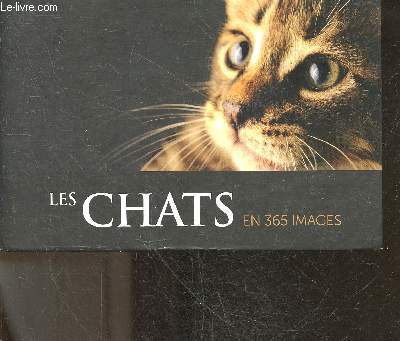 Les chats en 365 images - calendrier