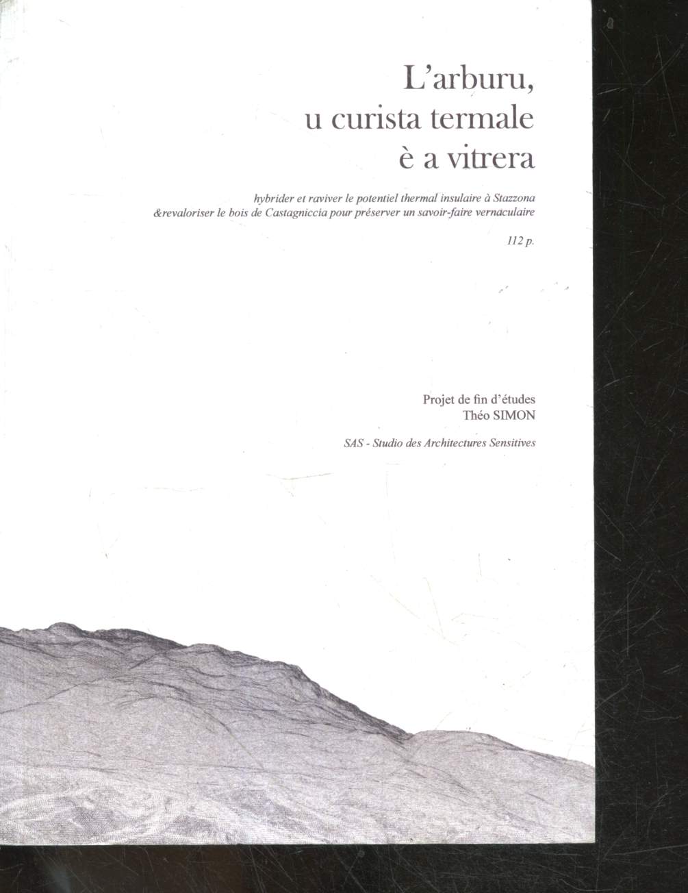 L'arburu, u curista termale e a vitrera - hybrider et raviver le potentiel thermal insulaire a stazzona & revaloriser le bois de castagniccia pour preserver un savoir faire vernaculaire - projet de fin d'etudes