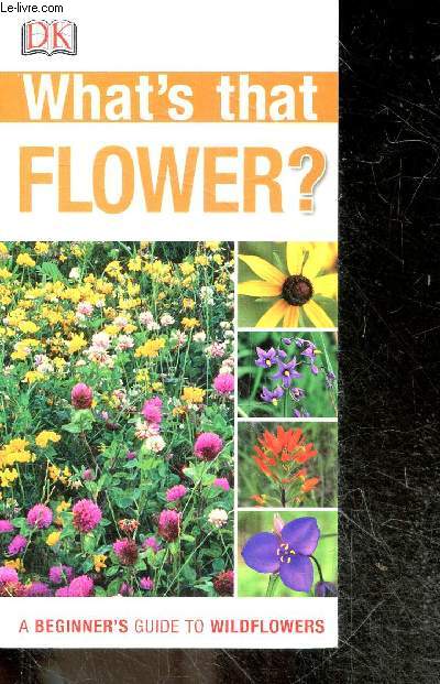 What's that Flower? A Beginner's Guide to Wildflowers