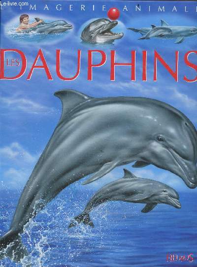 L'imagerie animale : les dauphins