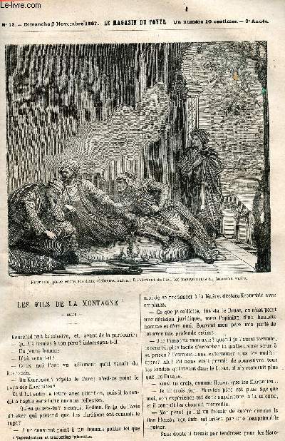 Le magasin du foyer, journal des bonnes lectures - 1867, 3e annee - N18, dimanche 3 novembre 1867- les fils de la montagne, le libre penseur, les zaporogues, les araignees, causerie