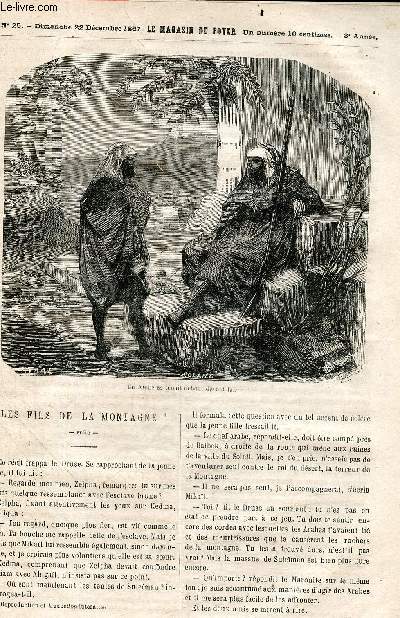 Le magasin du foyer, journal des bonnes lectures - 1867, 3e annee - N25 dimanche 22 decembre 1867- les fils de la montagne, le gant de la main gauche, un duel, les abeilles