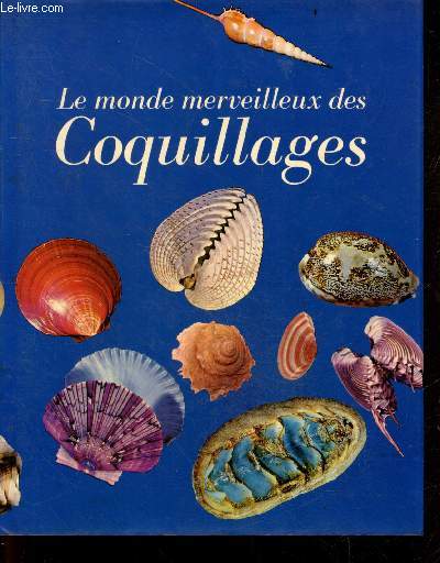 Le monde merveilleux des coquillages