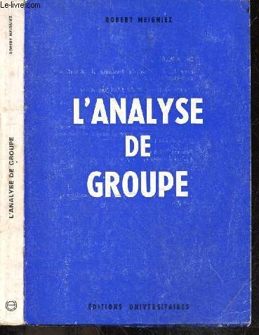 L'analyse de groupe - Regards existentiels