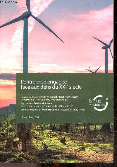 L'entreprise engagee face aux defis du XXIe siecle - Dans un monde en mouvement, repenser la responsabilite comme un engagement pour l'avenir - A tous les etages de l'entreprise et jusqu'au conseil l'enjeu de leadership est partout - Provoquer a tous ...