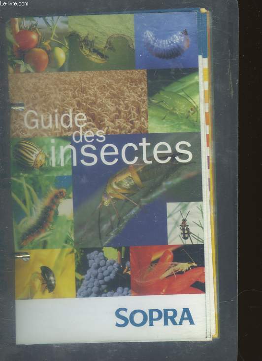 GUIDE DES INSECTES