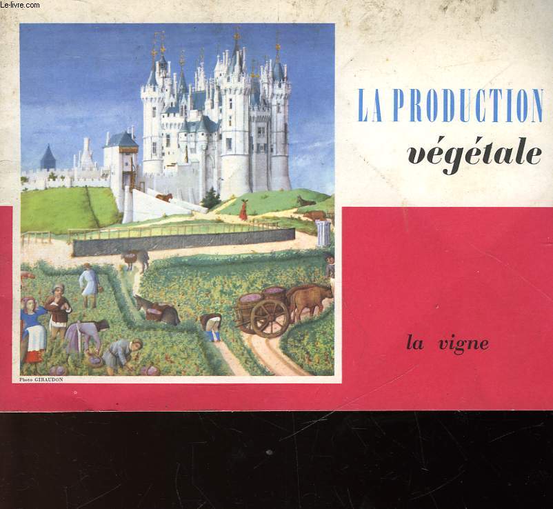 LA PRODUCTION VEGETALE - LA VIGNE